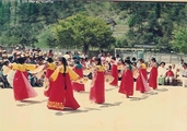 애향단