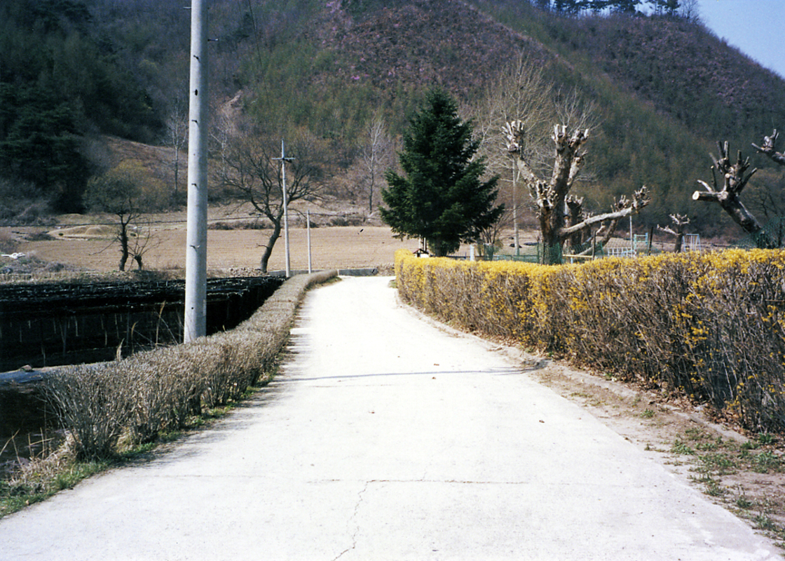 004_전경_학교오는길.jpg