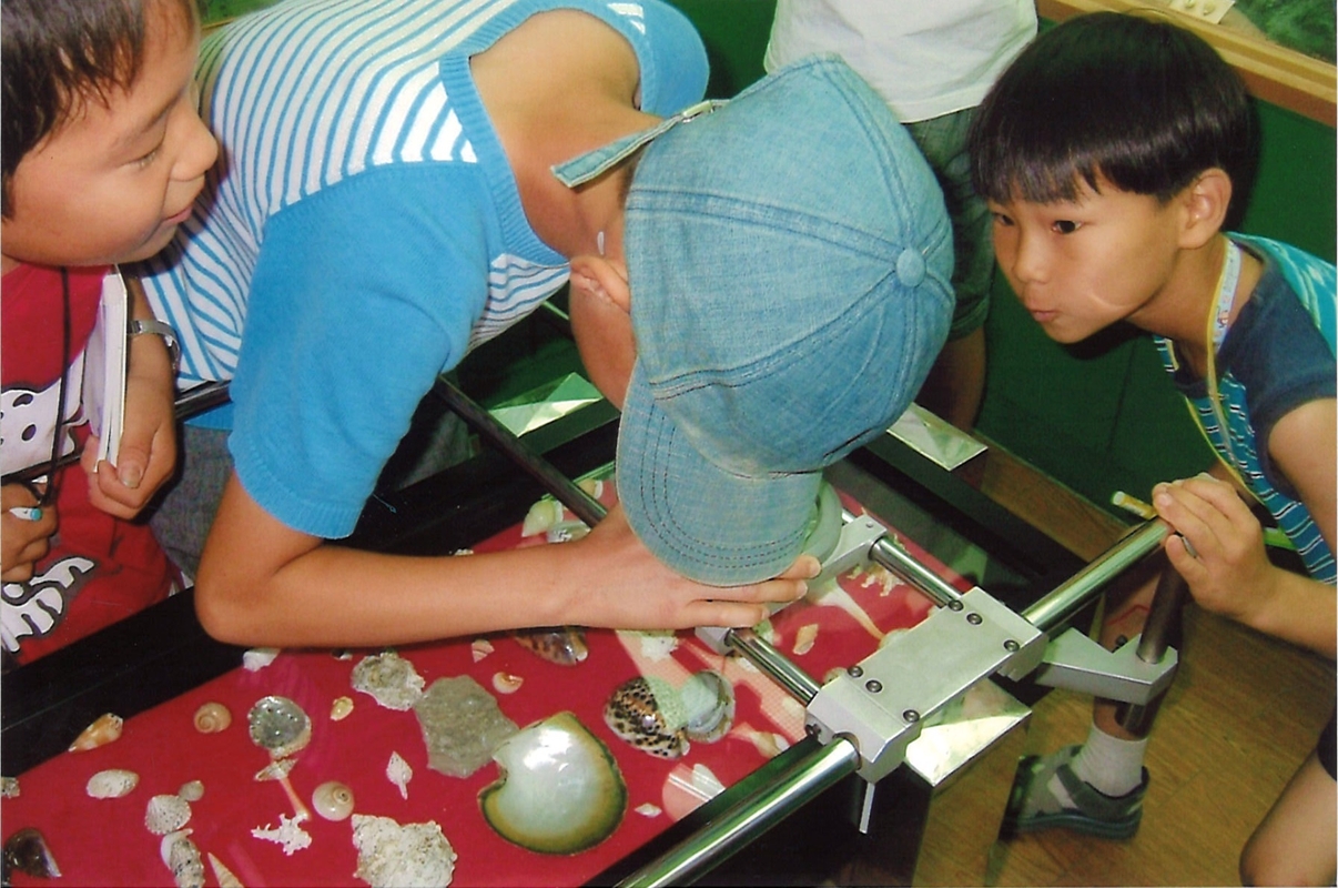 2006-12.jpg
