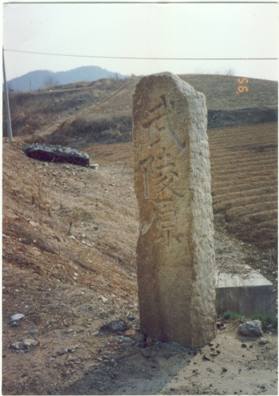 어룡초사진84.jpg