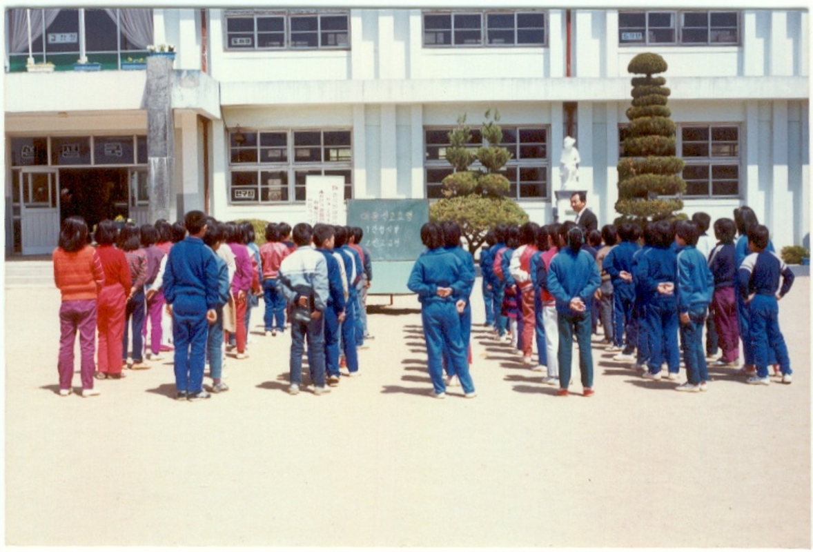 어룡초사진71.jpg