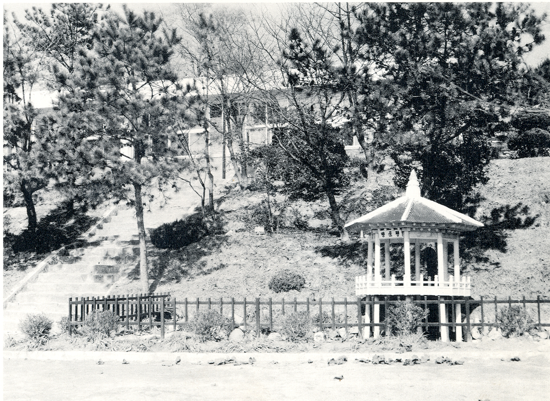숲으로 둘러쌓인 학교(1985).jpg