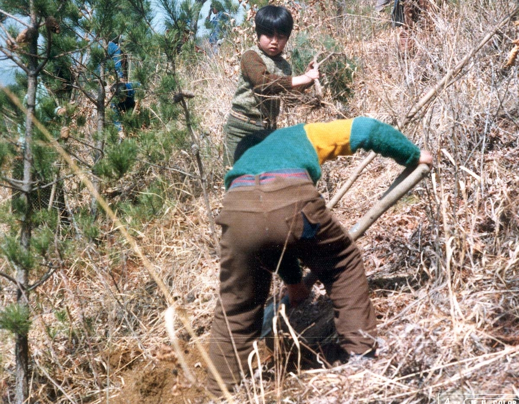 식목일2.jpg