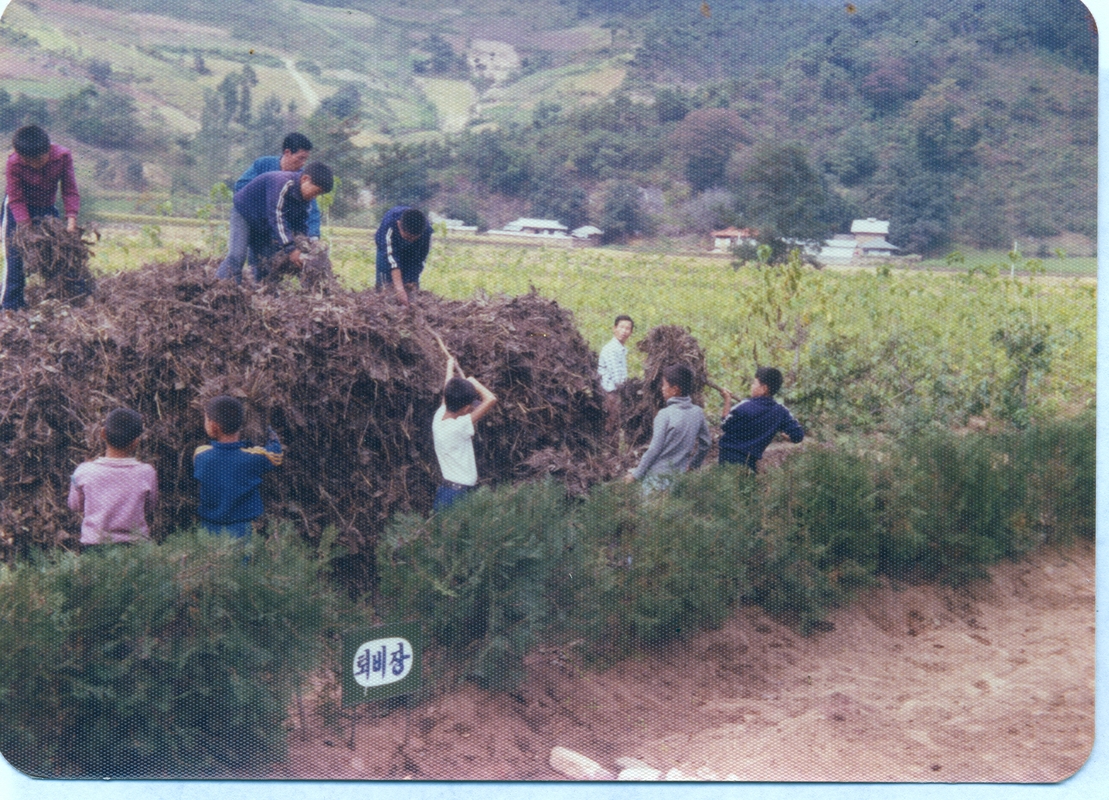 퇴비증산운동에 참가하는 학생들_교육시책 자활학교 운영.jpg