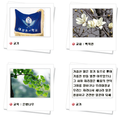 대장초등학교 교기 및 교가