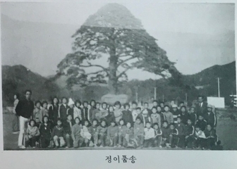 수학여행