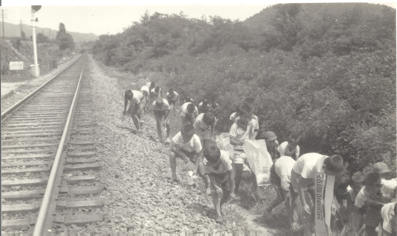 1970년 자연보호 활동.jpg