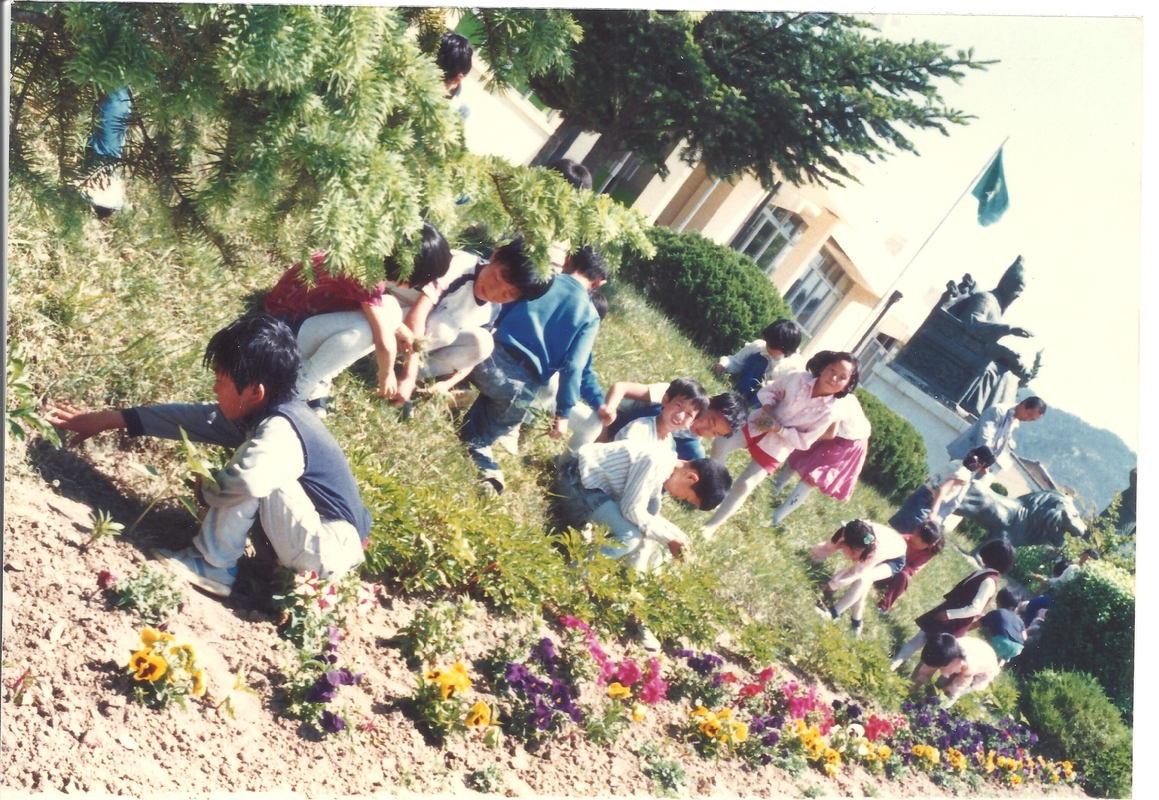 1982년 화단 정리.jpg