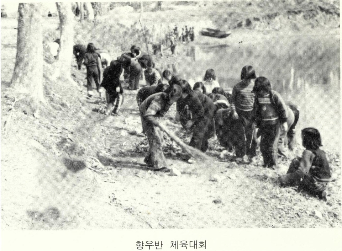 1982년 화단정리.jpg