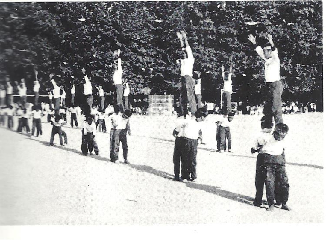 1985년 운동회.jpg
