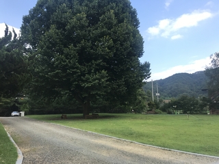 청마초등학교 전경