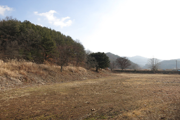 청동초 전경
