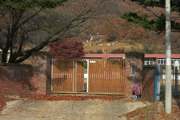 화성초 전경