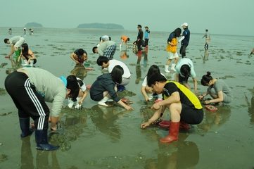 2012년 수학여행 갯벌체험(단산고등학교)