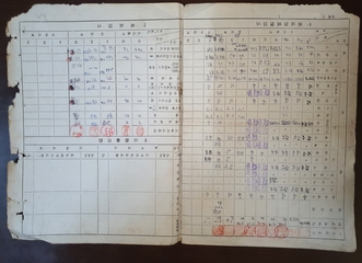 선림초등학교 생활기록부