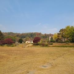 옥산초 금계분교 현황