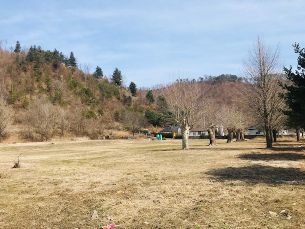 IMG_9952.jpg