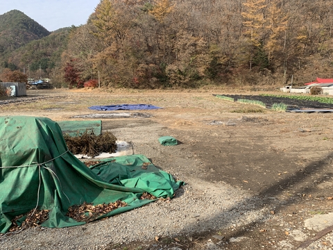 내북초등학교 이원분교장 전경(2020)