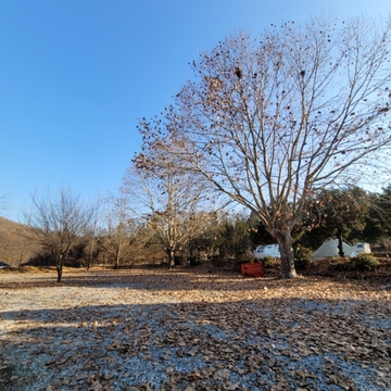 앙성초등학교 영죽분교장 현재전경