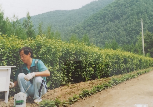 관기초등학교 기대분교장 관찰원(1990년대)