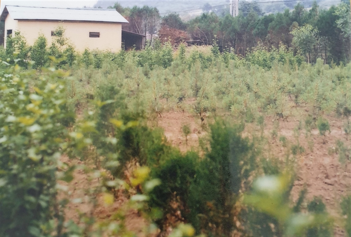 20201125_112702.jpg