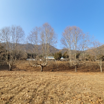 동량초등학교 서운분교장 현재전경