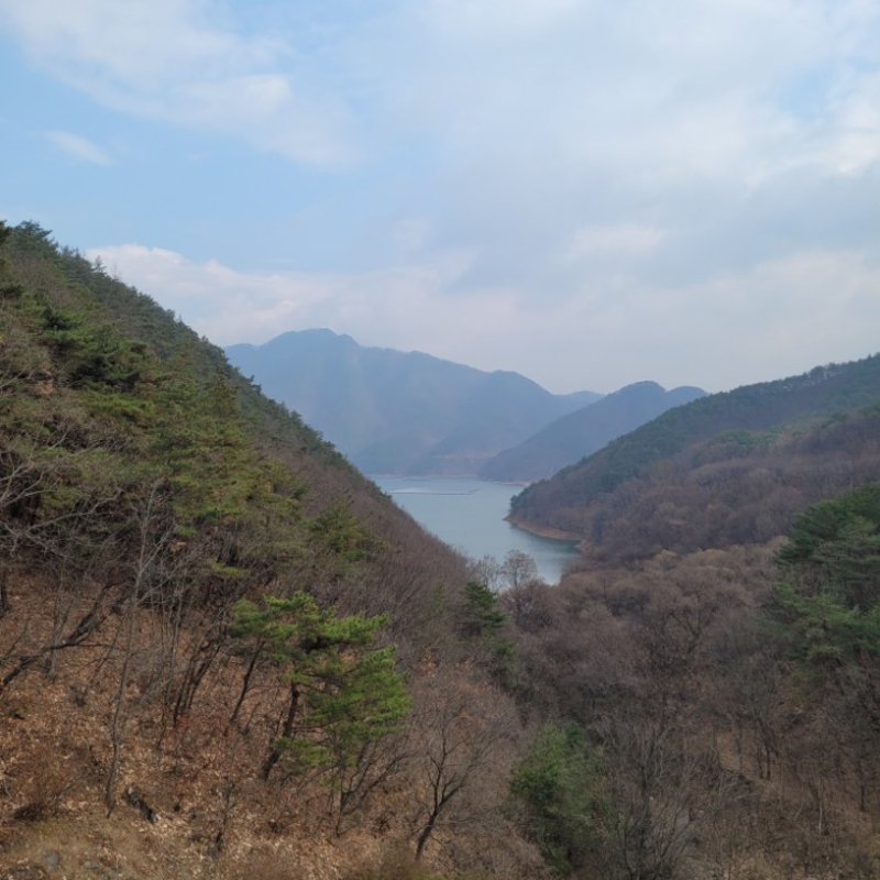 신당초현재전경.jpg