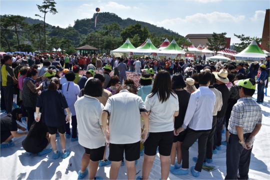 2017 괴산고추축제 체험학습